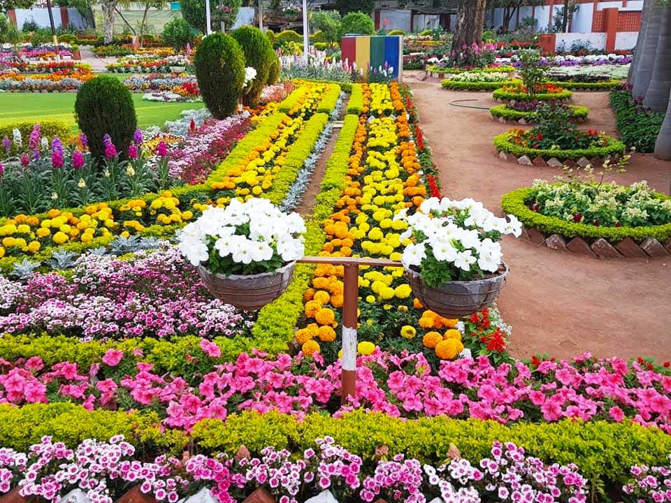 Delhi Evergreen Nursery Gardening