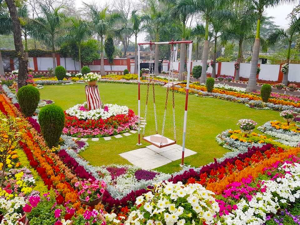 Delhi Evergreen Nursery Landscape Gardening