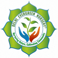 Delhi Evergreen Nursery logo gif